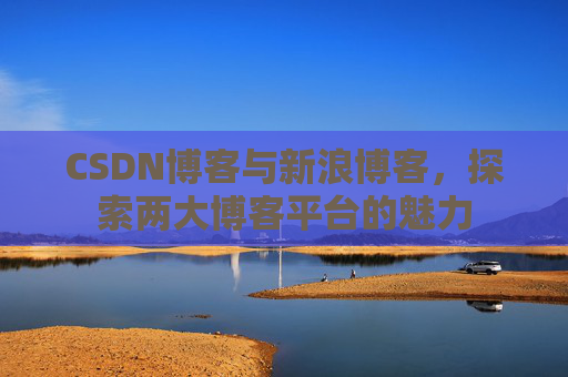 CSDN博客与新浪博客，探索两大博客平台的魅力
